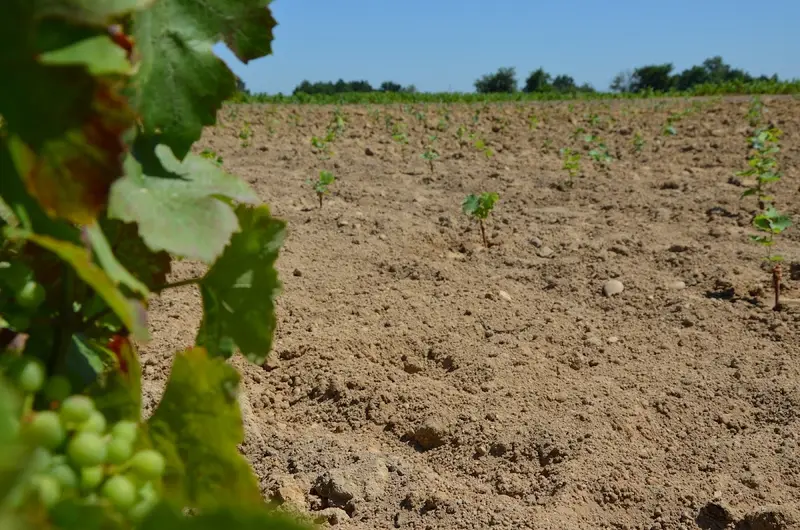 Domaine du Penlois