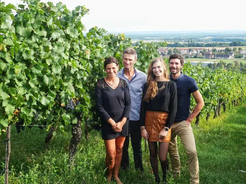 Domaine Weinzaepfel
