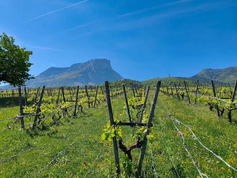 Domaine Dupraz