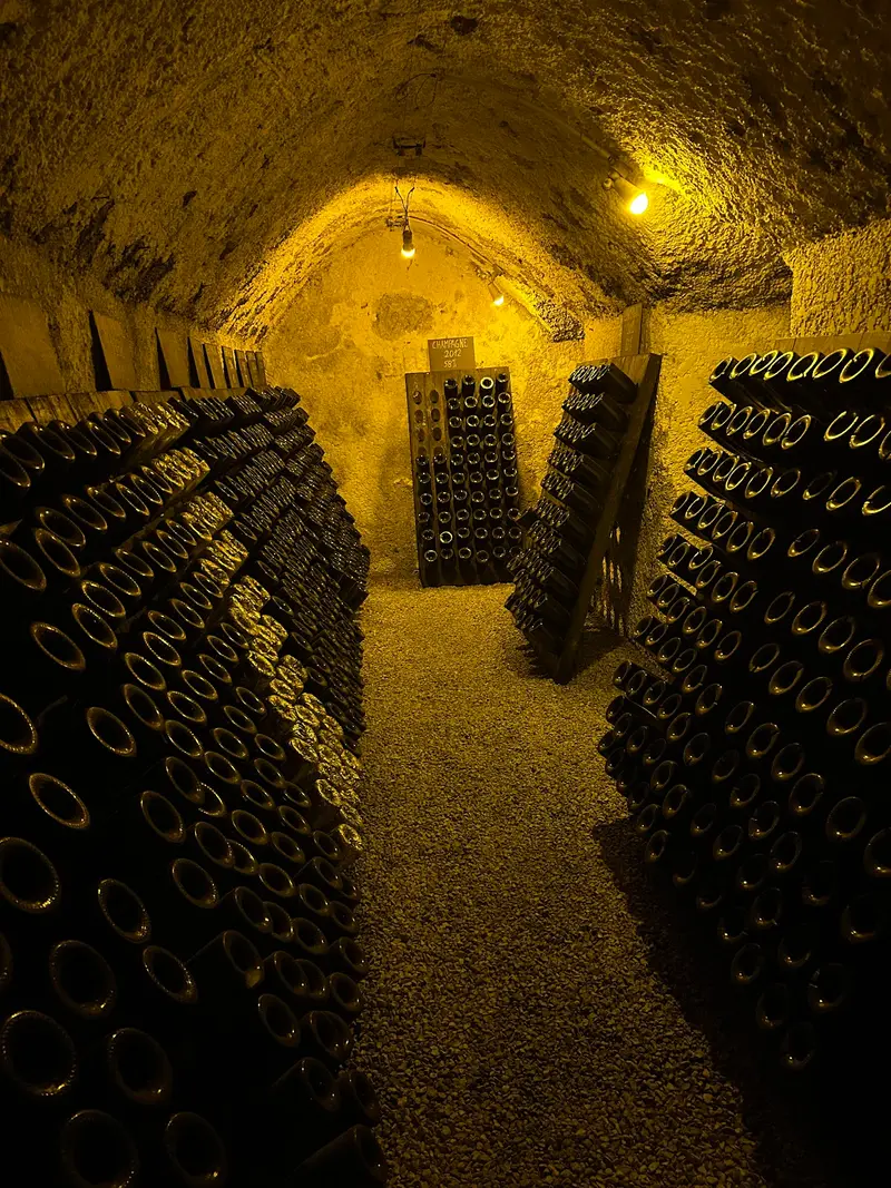 Champagne Herbert-Beaufort