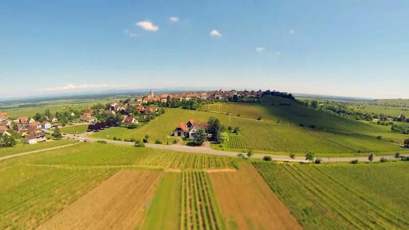Domaine Eblin - Fuchs