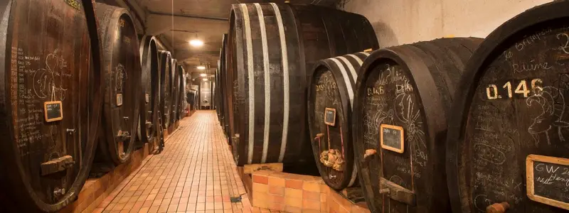 Domaine Josmeyer