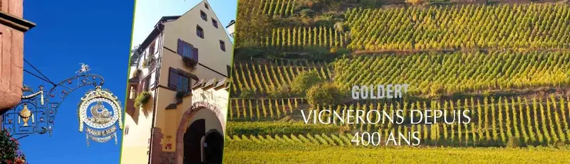 Domaine Ernest Burn - Clos Saint-Imer