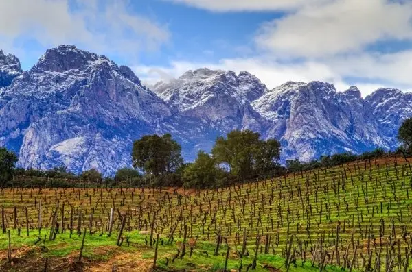 Domaine de Torraccia