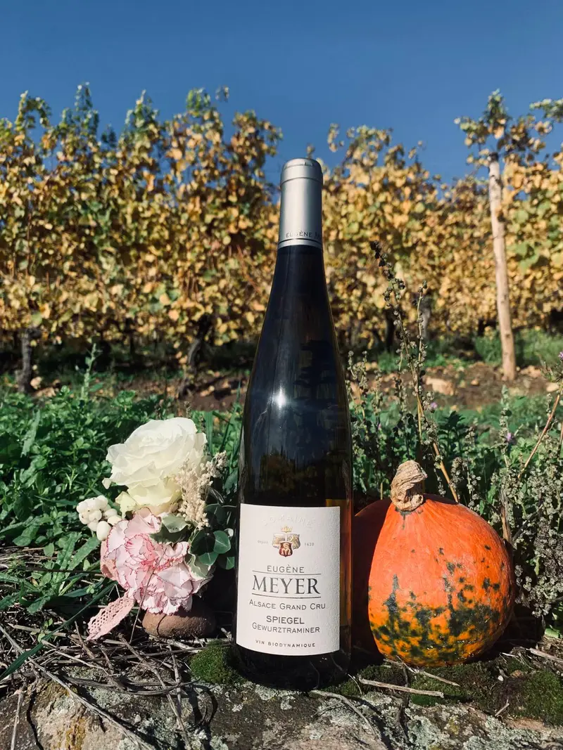 Domaine Eugène Meyer