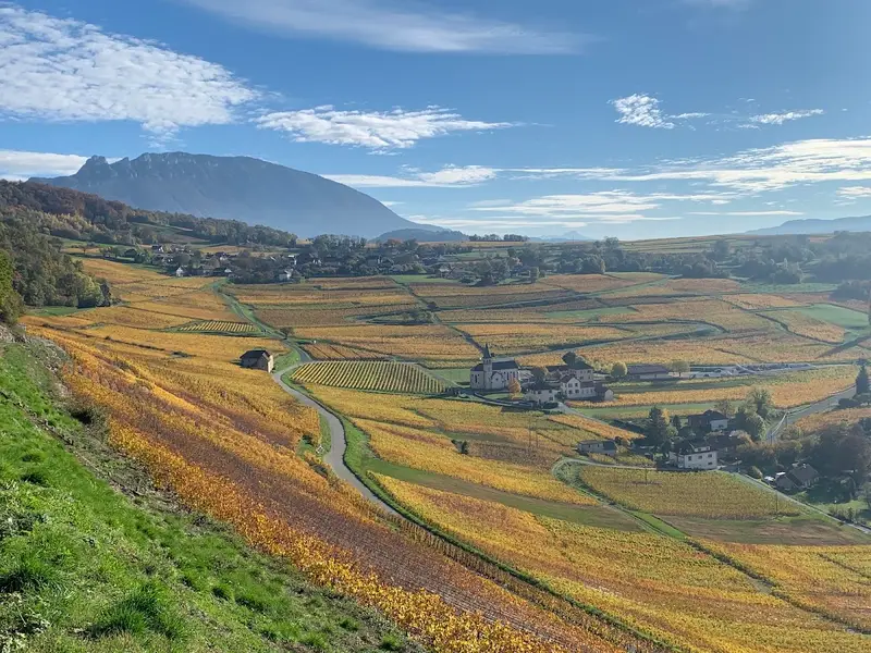 Domaine Carrel François & Fils