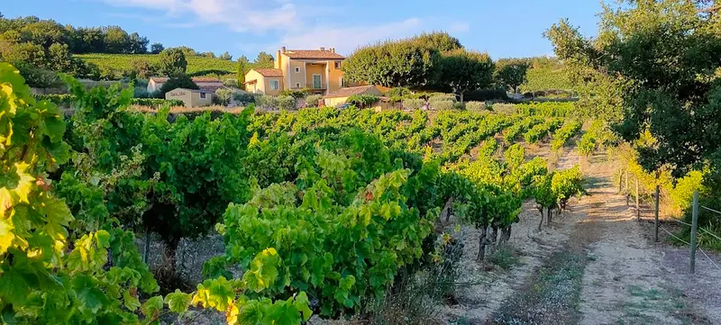 Domaine de Font Alba