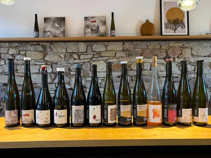 Vignoble des 3 Terres - Domaine Mann