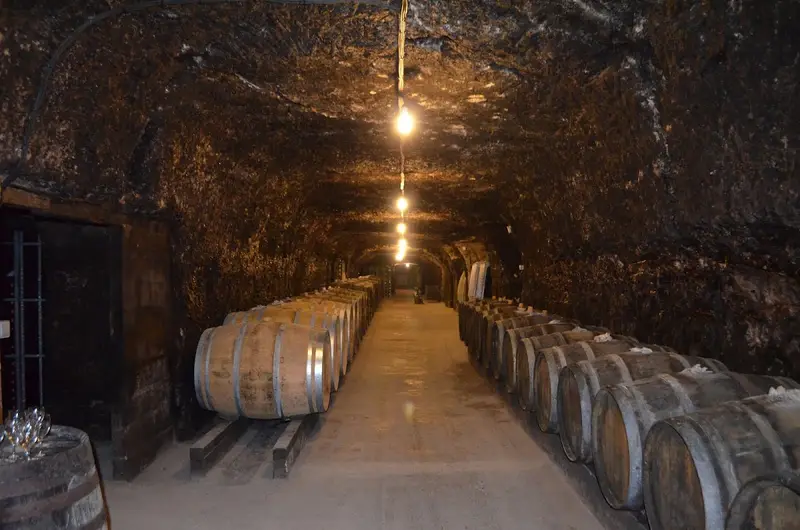 Domaine Damien Pinon