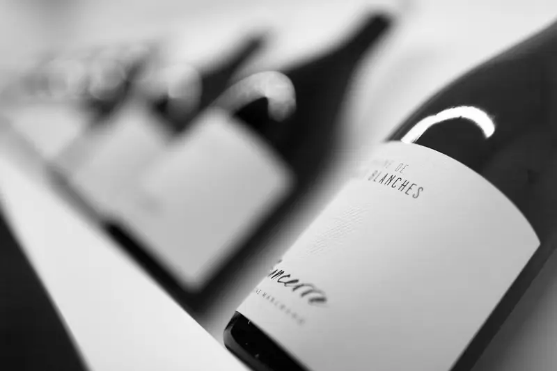 Domaine des Terres Blanches