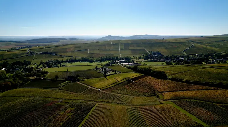 Domaine Matthias et Emile Roblin