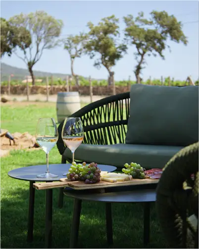 Domaine de Tanella (dégustation directe)