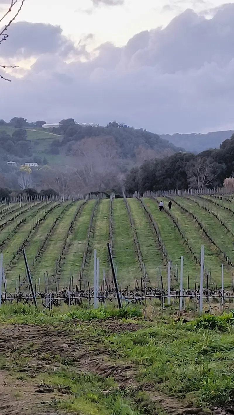Clos Ornasca