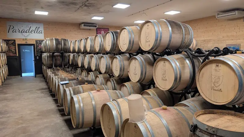 Domaine PARADELLA VISITES sur RDV