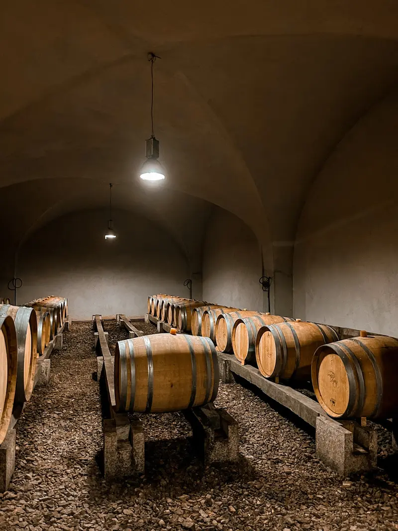 Domaine de Petra Bianca