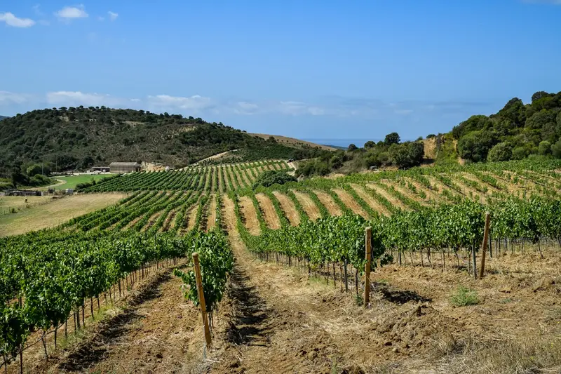 Clos Colonna