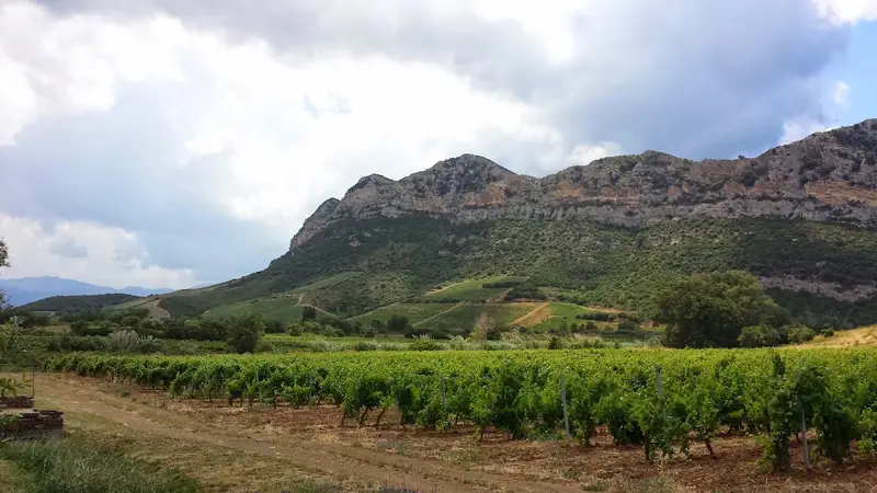 Domaine Jean-Noël GROSSI