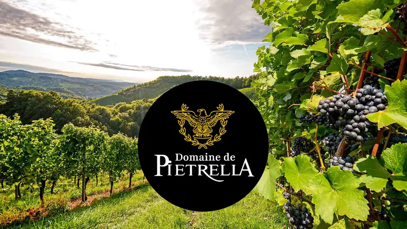Domaine de Pietrella
