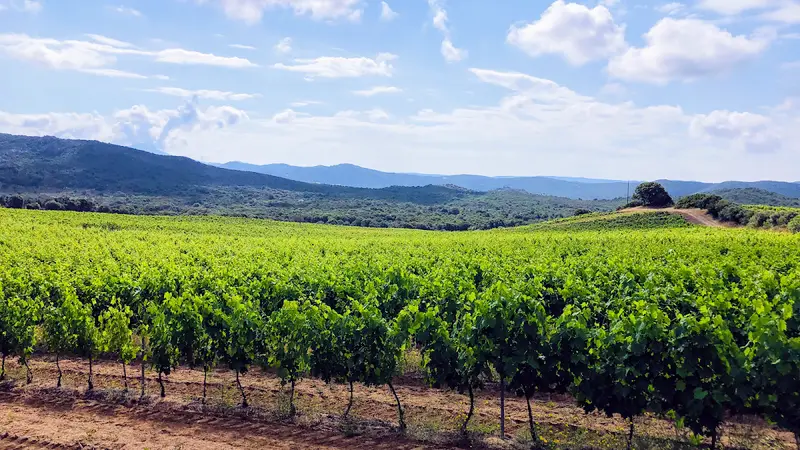 Domaine Mondoloni