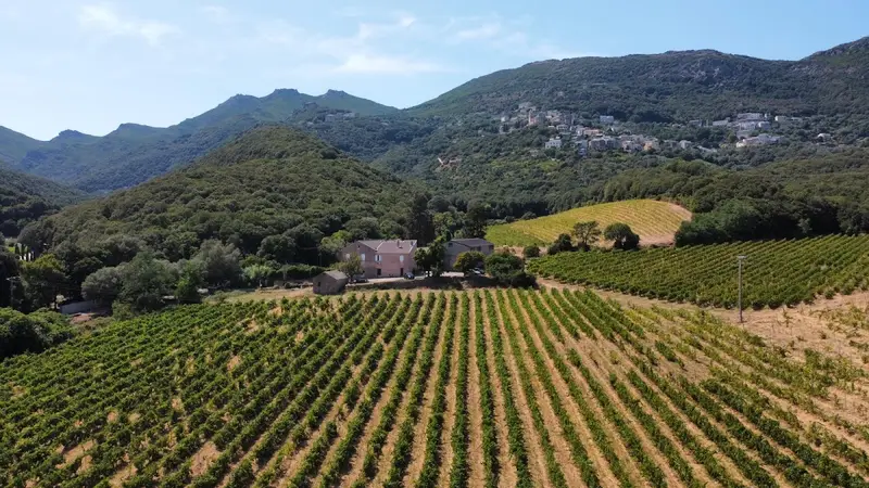 Domaine De Gioielli