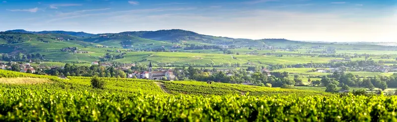 Domaine de Colonat