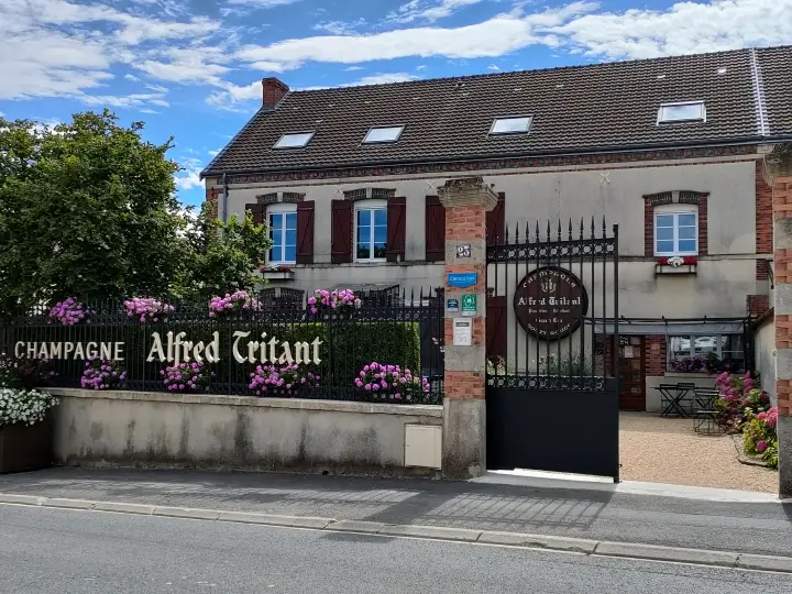 Champagne Alfred Tritant
