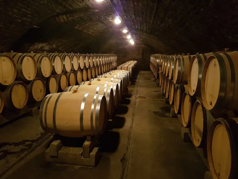 Domaine des Chauchoux