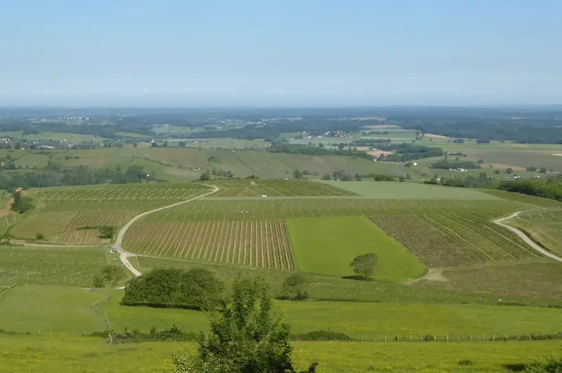 Domaine Desiré Petit