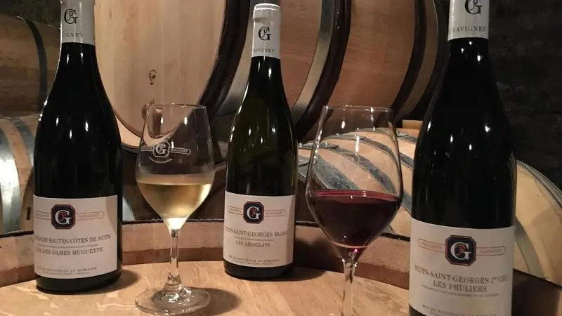 Domaine Gavignet Philippe