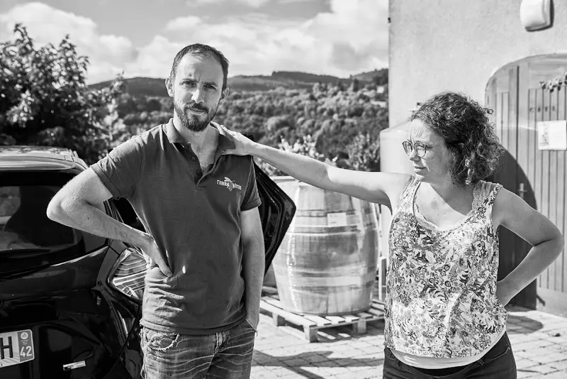 Domaine Reniteo - David Michelis