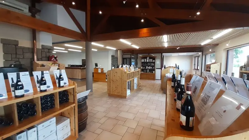 Vinescence