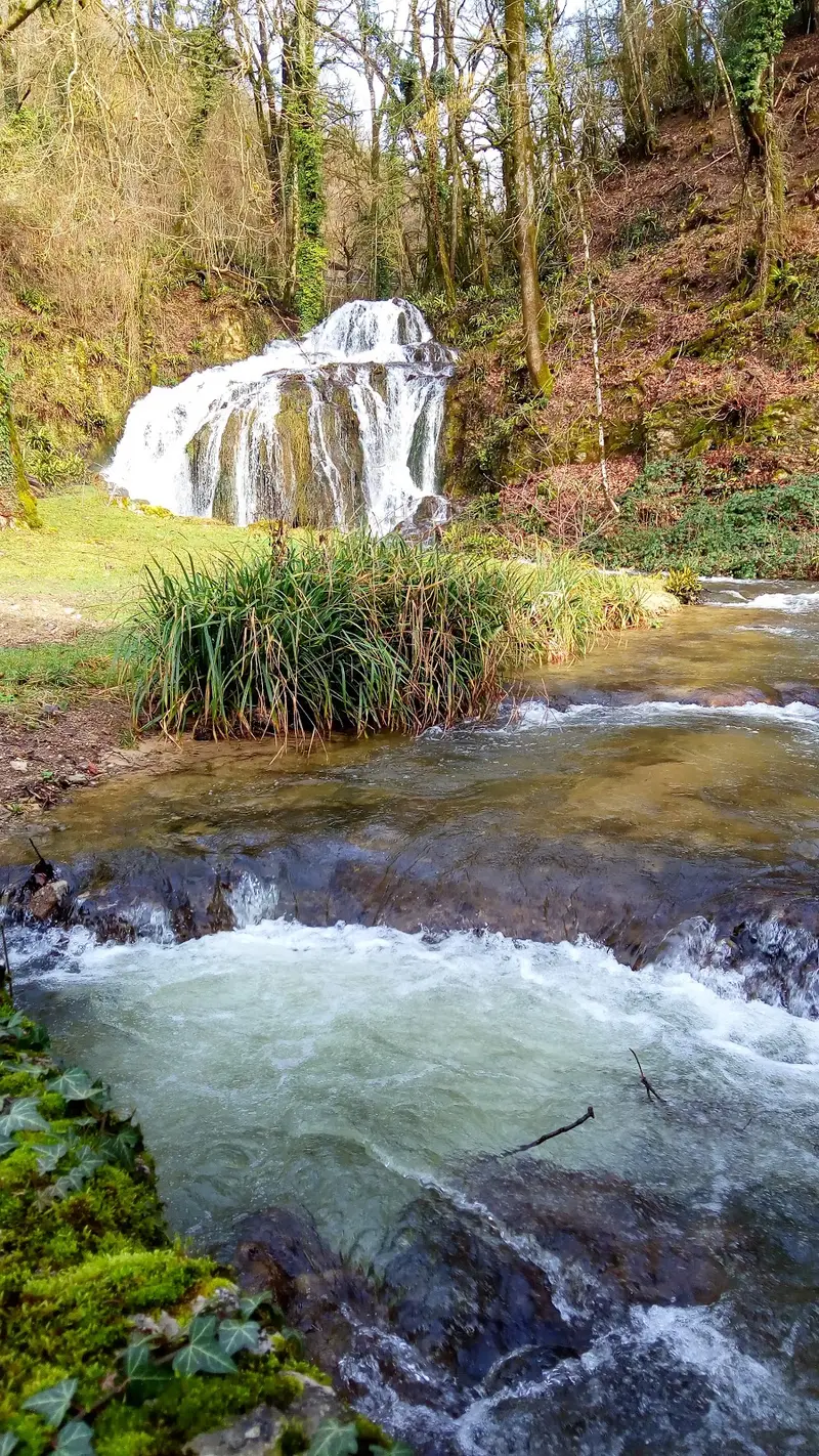 Domaine de Lucey