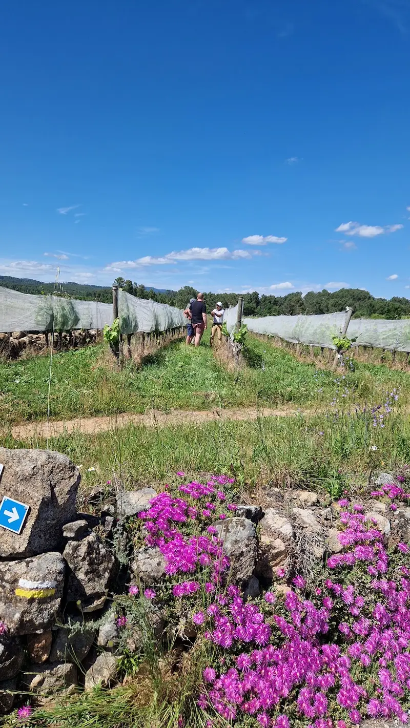 Domaine du Grangeon