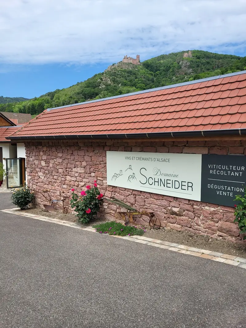Domaine Schneider Thierry
