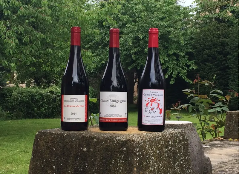 Domaine de la Combe Morguière