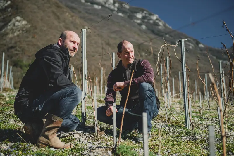 Domaine la Combe des Grand'vignes
