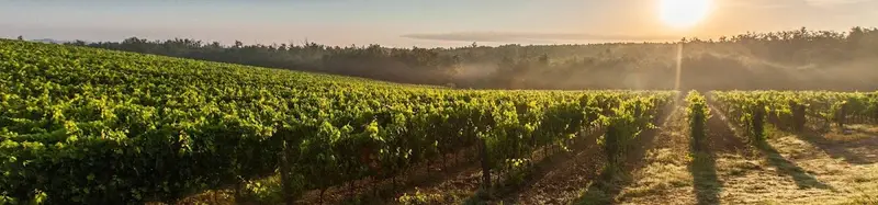 Domaine de Polignac