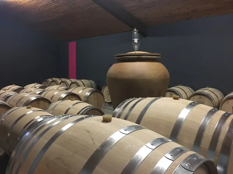 Château Tour Castillon