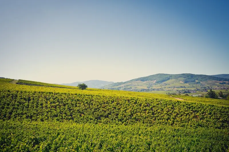 Domaine du Père Jean