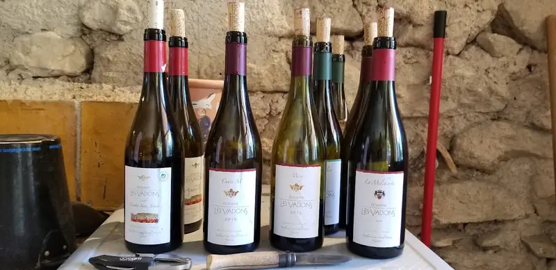 Domaine les Vadons