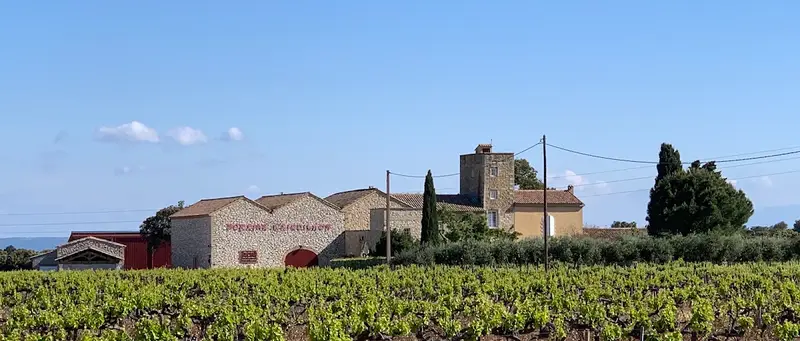 Vignobles des Templiers - Château D'aiguilhon