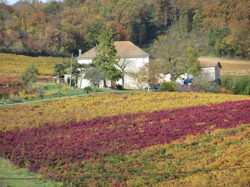 Château Bourguet