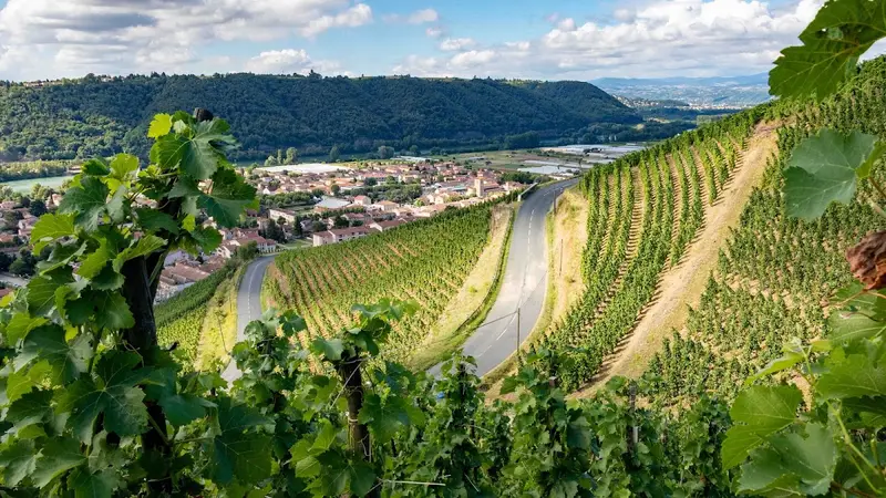 Domaine de Rosiers