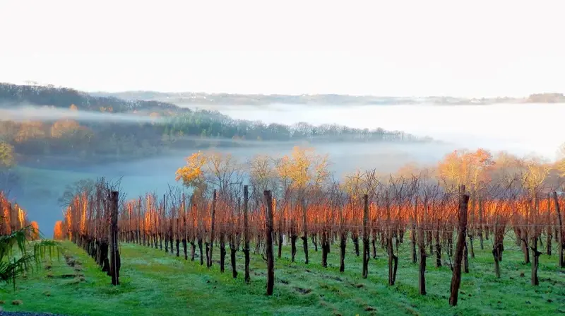 Clos Laplume