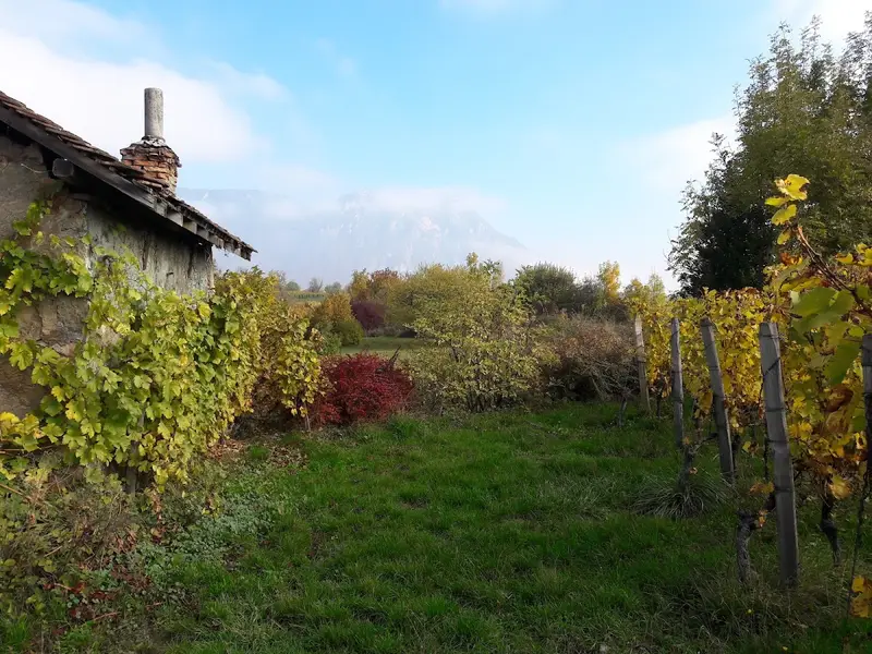 Domaine Blard & Fils