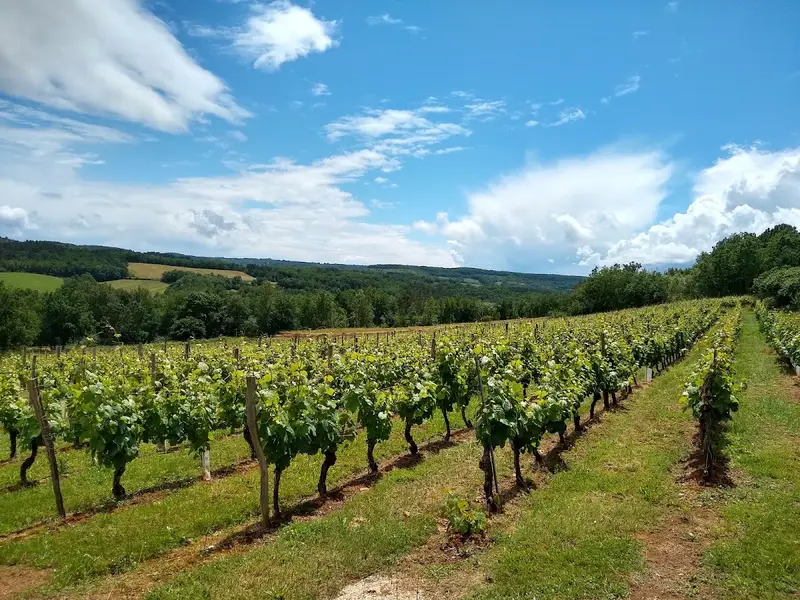 Domaine la Bérangeraie