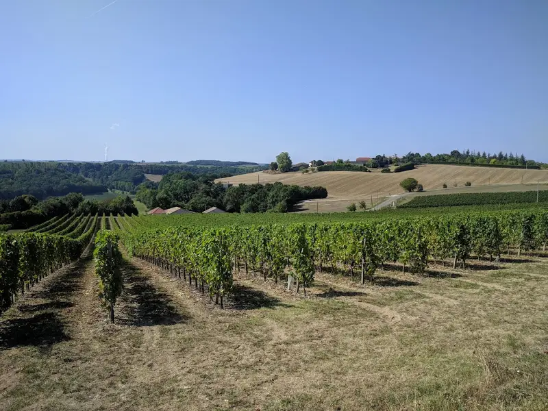 Domaine la Tulipe Rouge