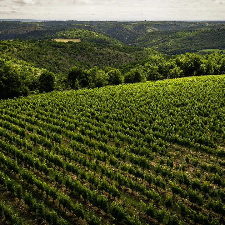 Domaine de Matèle