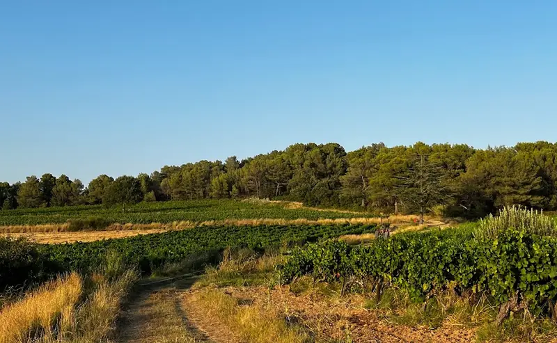 Domaine du Val Dernier