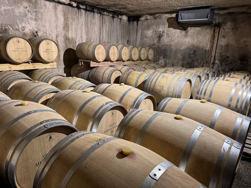 Château Mire L'étang